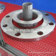 Stainless Steel Flange Part